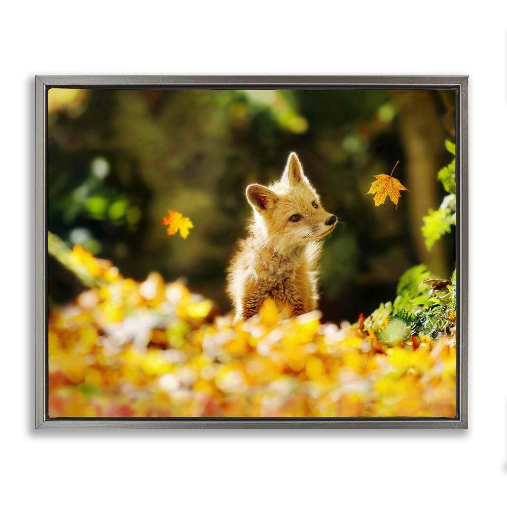 Fox Watching Autumn Leaves by Carrie Ann Grippo-Pike Gray Floater Frame Graphic Animal Art Print 21 in. x 17 in. price history on PriceWatchPro