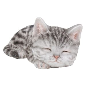Grey Tabby Kitten Sleeping