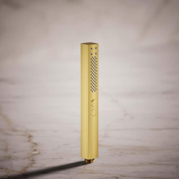 Shift Plus 2-Spray Patterns 1.13 in. Wall Mount Handheld Shower Head 1.75 GPM in Vibrant Brushed Moderne Brass
