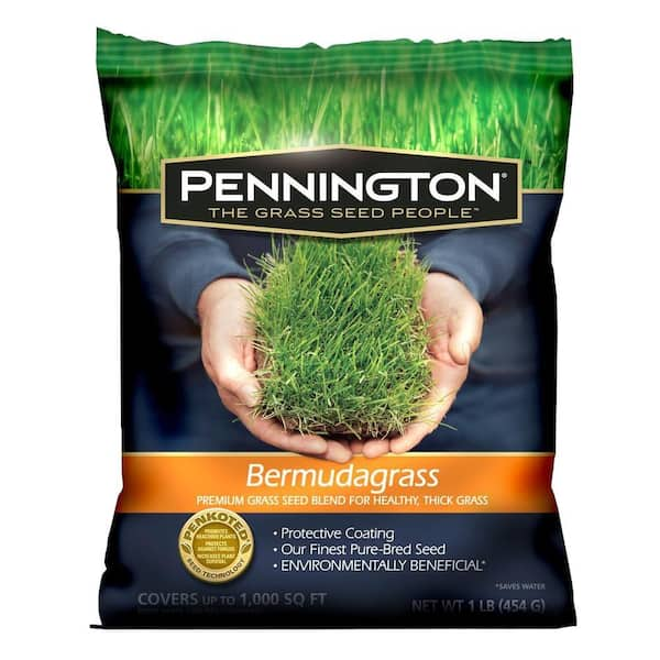 Pennington 1 lb. Bermudagrass Seed Blend