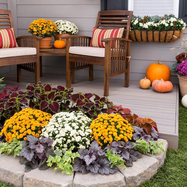 Summer Mums floral orange, white and yellow large decorative