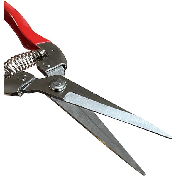 https://images.thdstatic.com/productImages/ff742a98-da4d-4d01-8154-fa8dc96b6683/svn/pruning-shears-prune8-1f_600.jpg