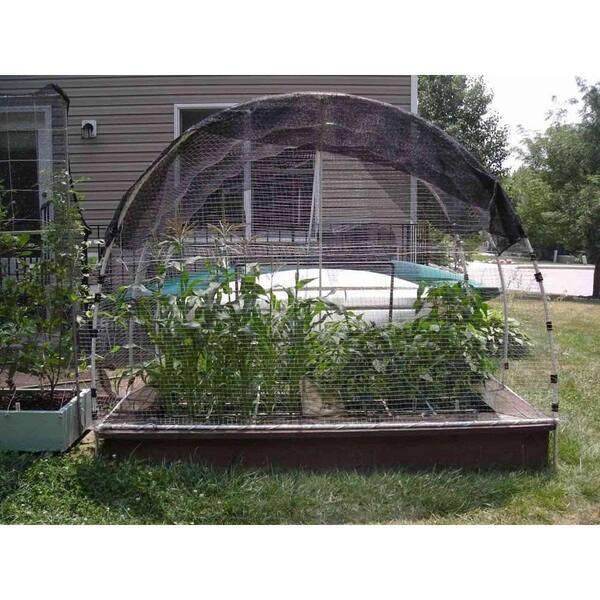 Shade Netting For Vegetables for Beginners