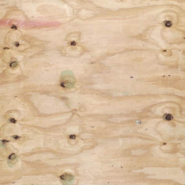 1/2 in. x 4 ft. x 8 ft. CDX Ground Contact Pressure-Treated Pine Plywood