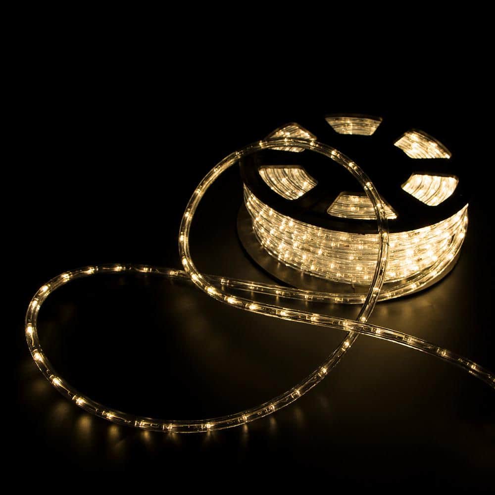 walsport Outdoor 100 ft. 110-Volt Plug-In Warm White Color