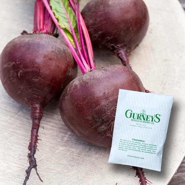 Beet Red Titan Hybrid Seed (200-Pack)