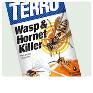 19 oz. Wasp and Hornet Killer Foaming Spray