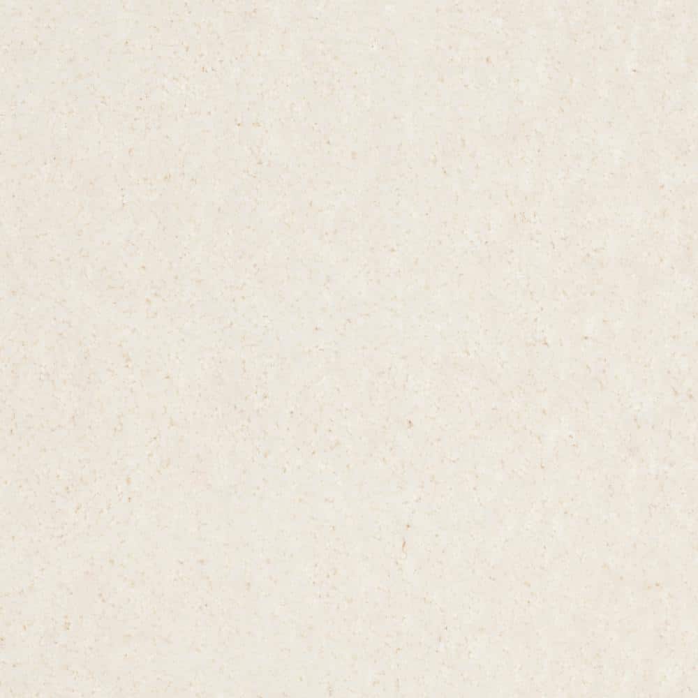Ivory Luxe Hand-Tufted Shag Area Rug 9' x 12'