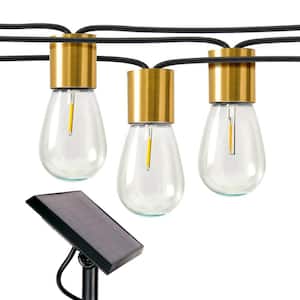 Govee Lynx Dream 48 ft. Outdoor Plug-In LED Input Smart Edison Bulb Wi-Fi  Enabled String Light (15-Bulbs) H7028AB1 - The Home Depot