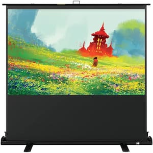 60 in. Projector Screen, Portable Pull Up Projector Screen and Stand with Handle