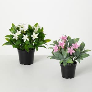 8.5" Artificial Potted Pink and White Flowering Plant - Set of 2