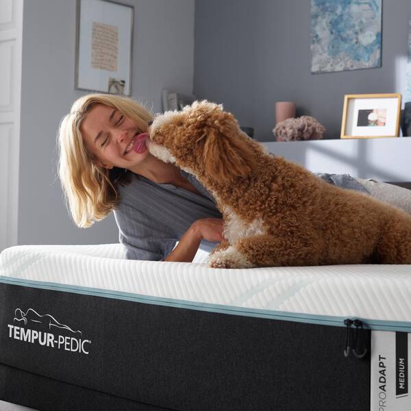 tempurpedic for dogs