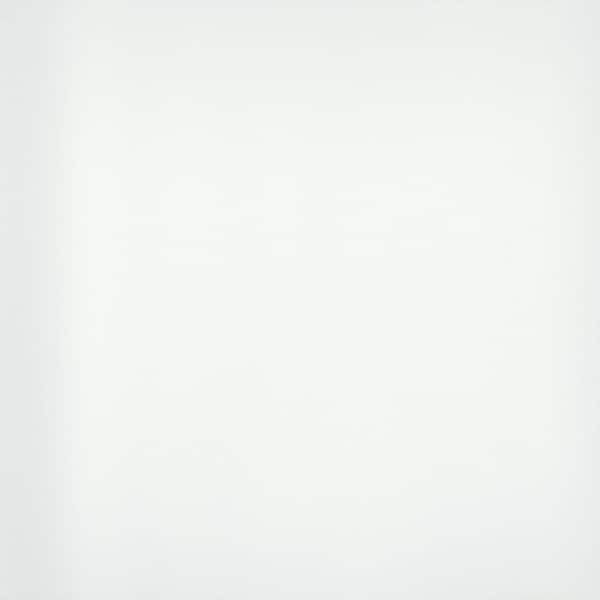 EMSER TILE Style Ii Pure White 23.62 in. x 23.62 in. Matte Porcelain Stone Look and Wall Tile (15.5 sq. ft. /Case)