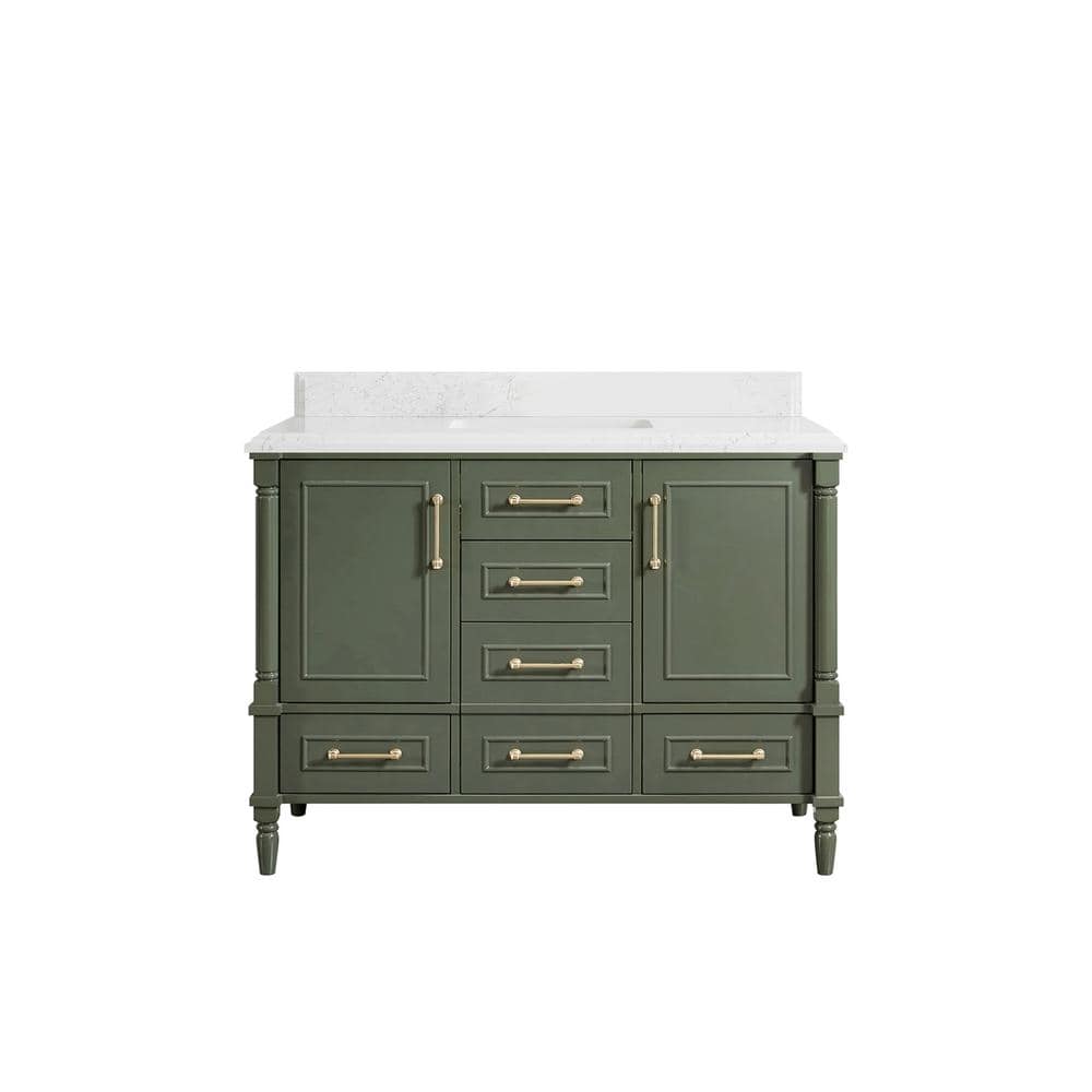 Hudson 48 in. W x 22 in. D x 36 in. H Bath Vanity in Pewter Green with Cove Edge Empira Quartz Top price history on PriceWatchPro