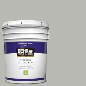 5 gal. #PPU18-11 Classic Silver Ceiling Flat Interior Paint