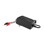 6-Volt Lead Acid Charger with Alligator Clips