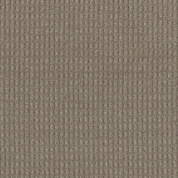 Home Decorators Collection Amaryllis-Benito Gray-35 oz. SD Polyester Pattern Carpet - Installation Required