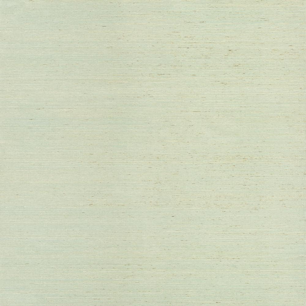 Sakiya Seafoam Sisal Grasscloth Wallpaper Sample price history on PriceWatchPro
