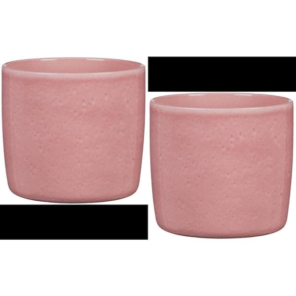 Scheurich 5.1 in. (13 CM) Dia./5 in. Tall Solido Rosea Pink Ceramic Pot Twin Pack