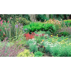 Flower View - Weather Proof Scene for Window Wells or Wall Mural - 120 in. x 60 in.