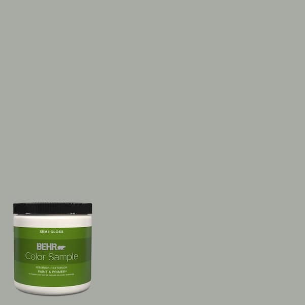 BEHR PREMIUM PLUS 8 oz. #PPU25-15 Flipper Semi-Gloss Interior/Exterior Paint & Primer Color Sample