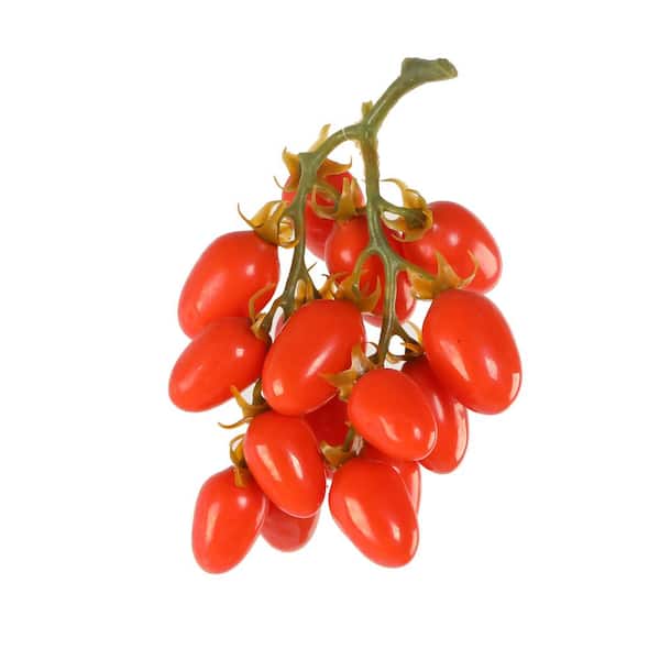 Set of 4 Artificial Cherry Tomato