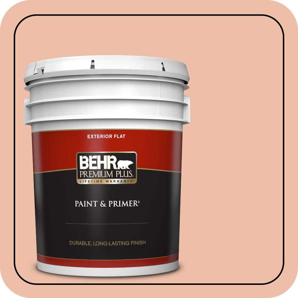 5 gal. #BIC-03 Veronese Peach Flat Exterior Paint & Primer price history on PriceWatchPro