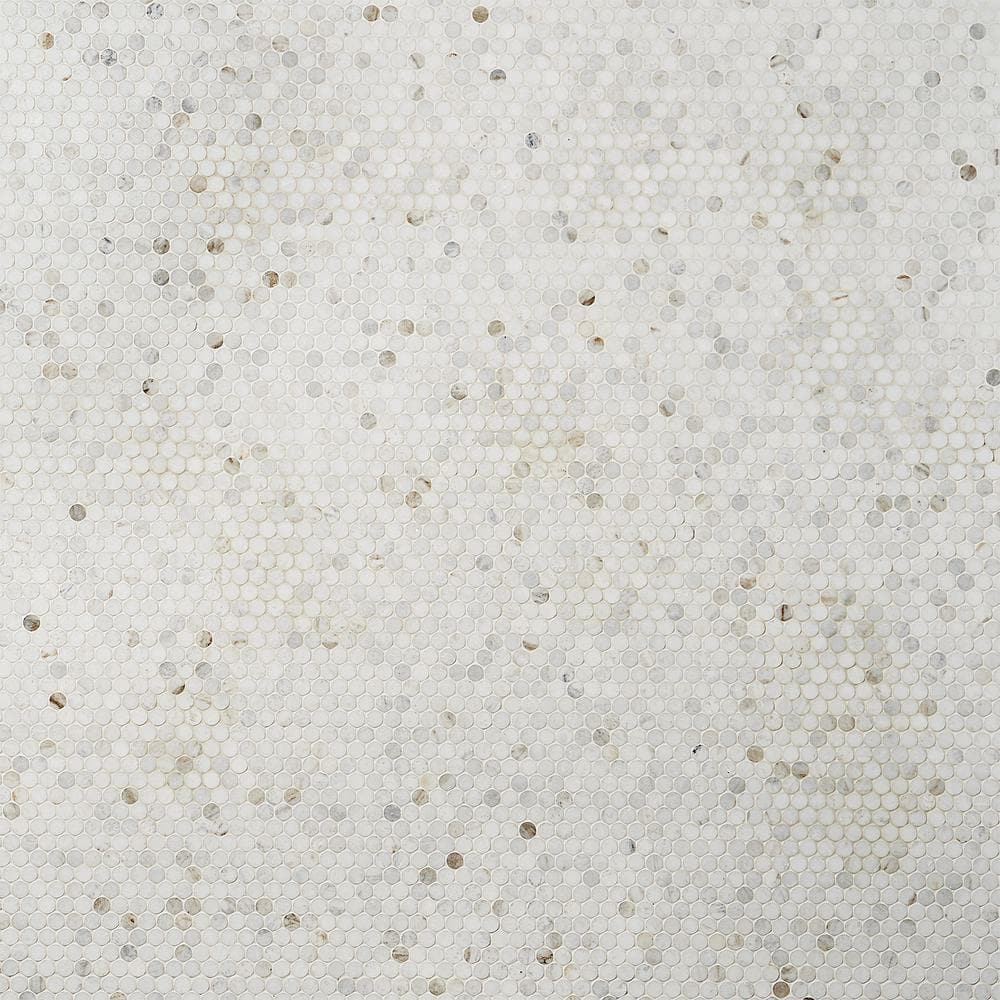 Polar White Penny Round Polished Marble Mosaic Tile