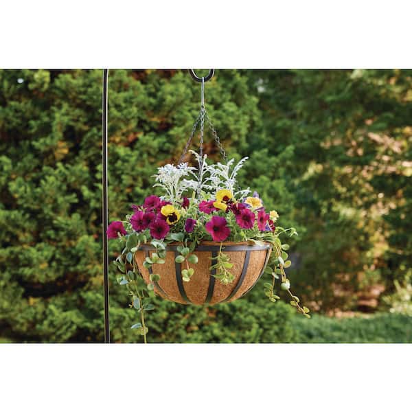 16 in. English Coconut Hanging Planter Basket (16 in. D x 7.5 in. H)