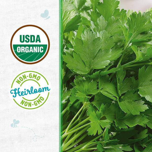 Organic Italian Large Leaf Parsley Seed (1-Pack)