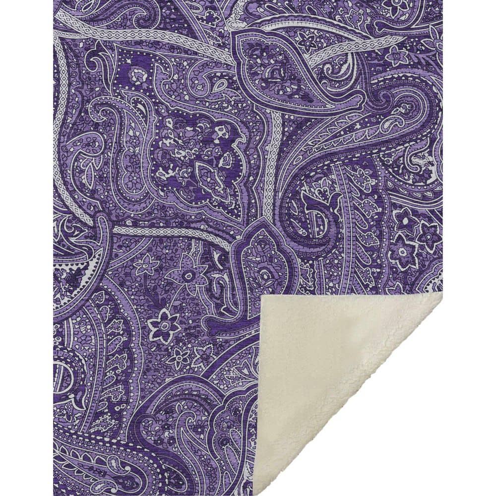 Premium Machine Washable ASB623 Purple 50 in. x 70 in. Sherpa Throw Blanket price history on PriceWatchPro