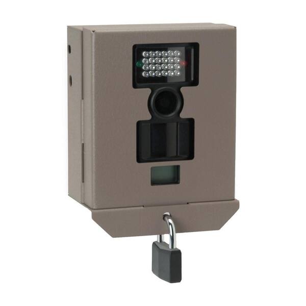 Unbranded Steel Security Bear Box