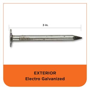 3 in. Electro Galvanized Roofing Nail 5 lbs. (465-Count)