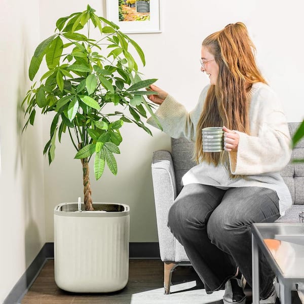 EZ Self-Watering Home Planter, Cream White / 1 Pack