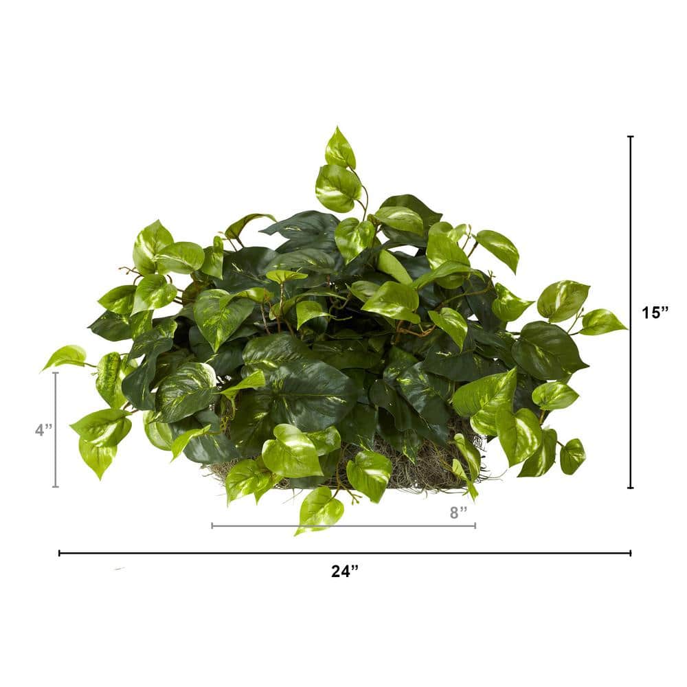 Elegant Pothos Silk Tabletop Plant in Compact Plastic