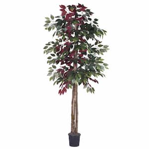 6 ft. Green Artificial Capensia Other Everyday Tree in Black Plastic Pot