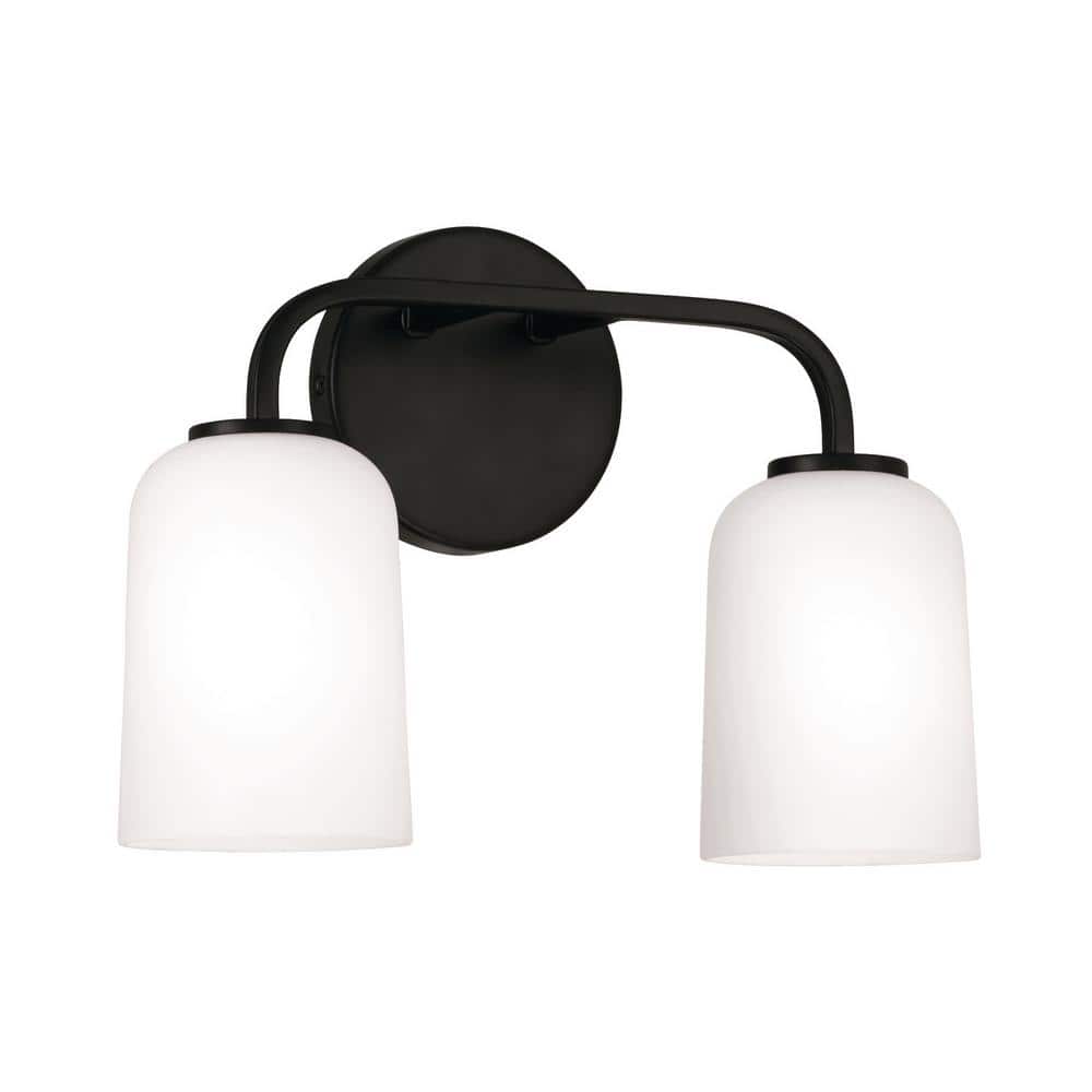 13.75 in. W x 9.75 in. H 2-Light Vanity Light in Matte Black with Soft White Glass price history on PriceWatchPro