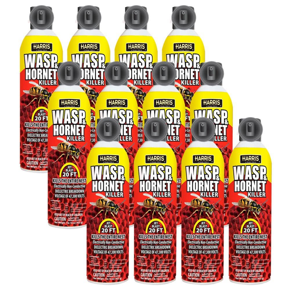 Harris 16 Oz Wasp And Hornet Killer 12 Pack 12wh 16 The Home Depot