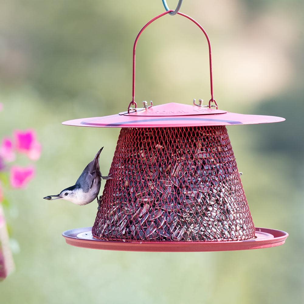 Red Metal Hanging Bird Feeder with Mesh Design
