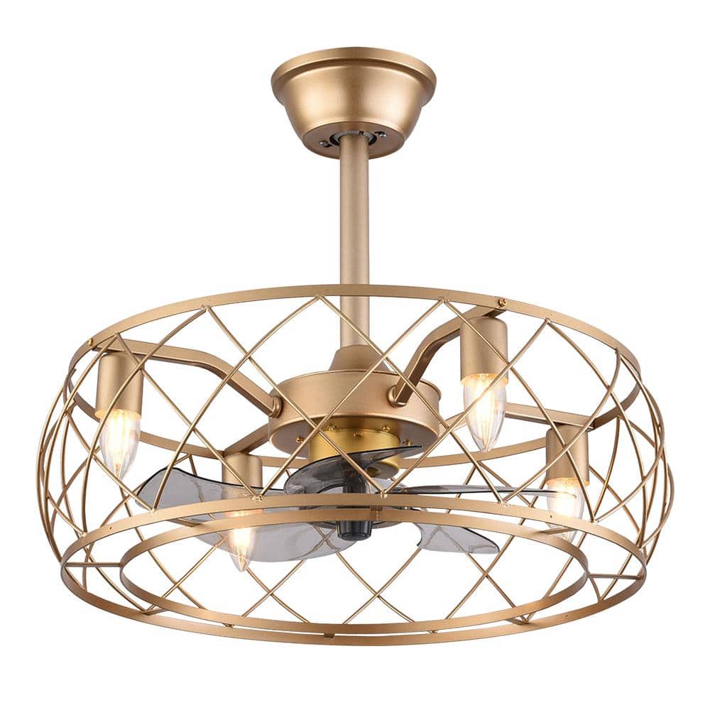 20" Gold Aluminum Caged Ceiling Fan with LED Light and Remote