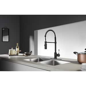 Paris Single-Handle Pull-Down Sprayer Kitchen Faucet in Matte Black