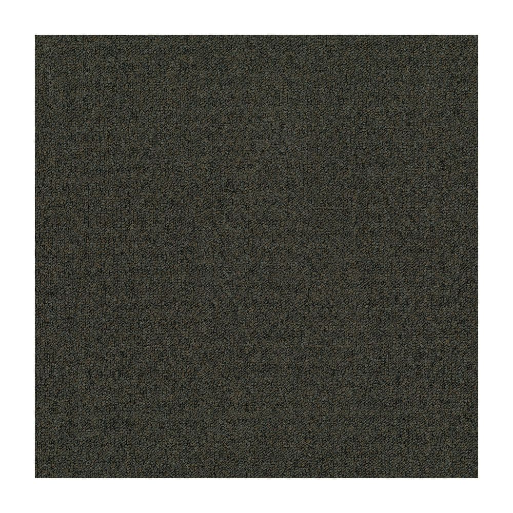 8 in. x 8 in. Textured Loop Carpet Sample - Advance -Color - Deep Water price history on PriceWatchPro