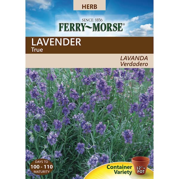 Ferry-Morse Lavender Seed