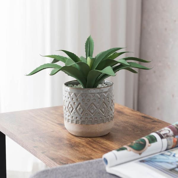 Unbranded Artificial Diamond RoSette Agave