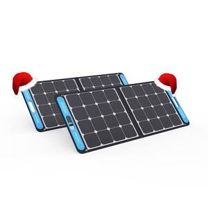 Two 100-Watt Portable SolarPower ONE Solar Panels for HomePower ONE