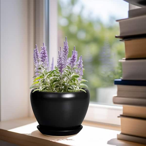 Black Ceramic Indoor/Outdoor Planter with Saucer (6.3 in. W x 4.4