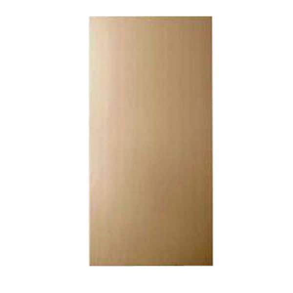 48 in. x 96 in. Cement HZ10 Primed Smooth Panel