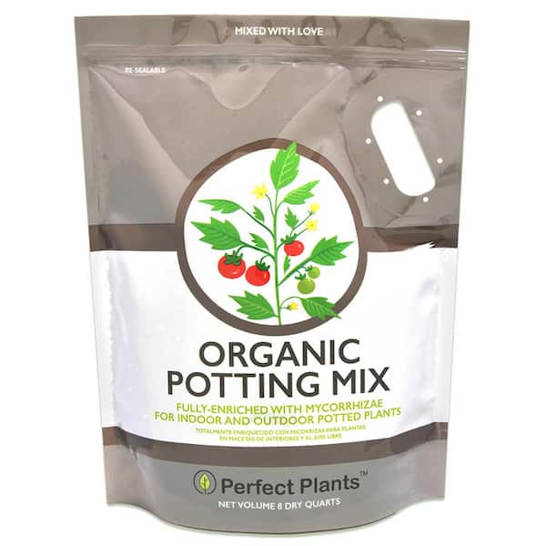 Indoor and Outdoor Use 4 Dry Quarts Absorbs Essential Nutrients When Added to Soil and Enriches Plant Roots Organic Sphagnum Peat Moss by Perfect Plants 