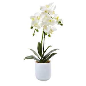 23 in. Cream White Artificial Phalaenopsis Orchid Flower Arrangement in  Square Embossed Stripe Ceramic Pot 5032-CR-WH - The Home Depot