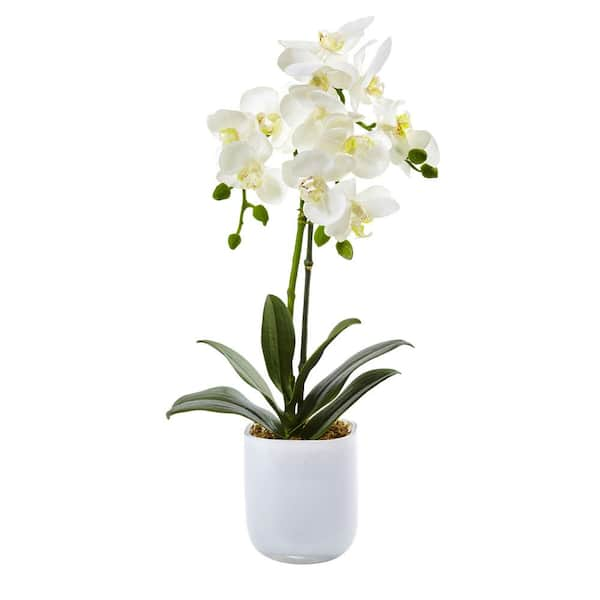 Nearly Natural 18.5 in. Artificial Phalaenopsis in Frosted Glass 4571 ...